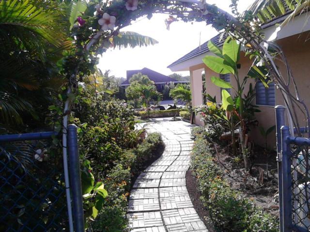 The Artist Place At Estates St Ann Richmond